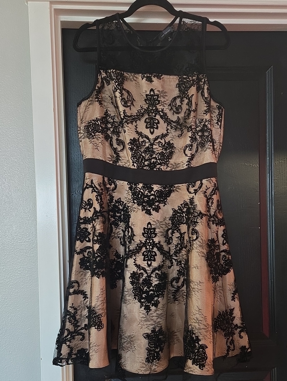 The Limited Champagne And Black Lace Overlay Fit And Flare Dress Size 12